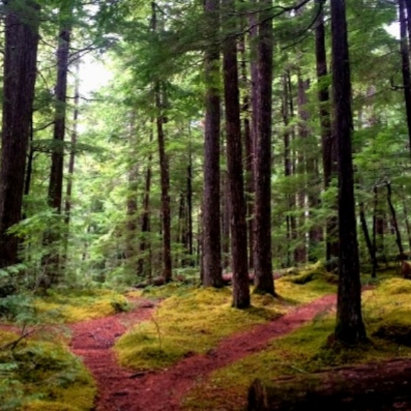 Thank you, Poshers! 🤙 - Picture 6 of 9